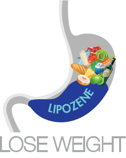 How Lipozene Works In Stomach
